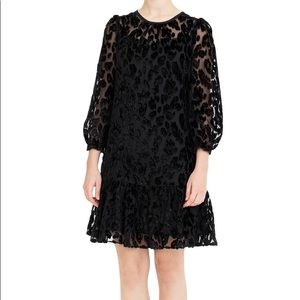 J Crew Leopard Flutter Hem Burnout Velvet Dress